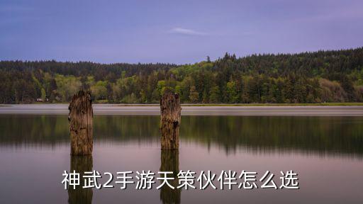 神武2手游天策伙伴怎么选