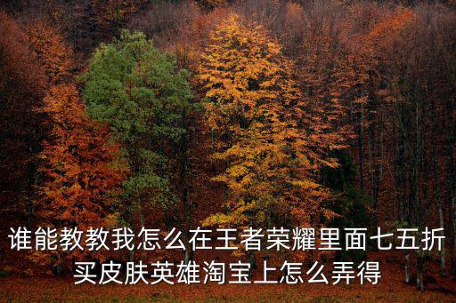 谁能教教我怎么在王者荣耀里面七五折买皮肤英雄淘宝上怎么弄得