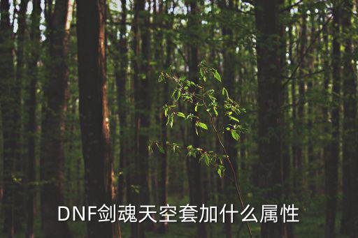 dnf剑魂天空属性选什么，DNF剑魂刷图天空套属性选择