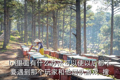 lol里面有什么办法可以使以后都不要遇到那个玩家和他同队游戏 搜