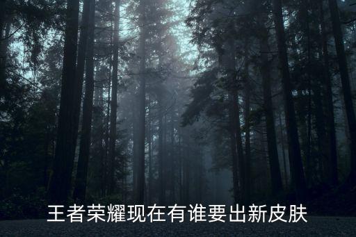 王者荣耀现在有谁要出新皮肤