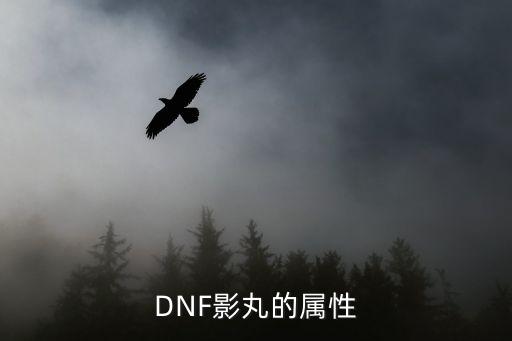 dnf影丸有什么属性，DNF影丸的属性