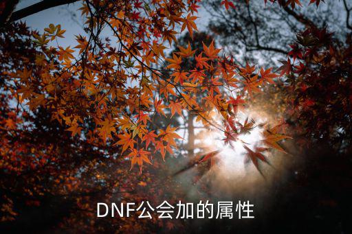 DNF公会加的属性