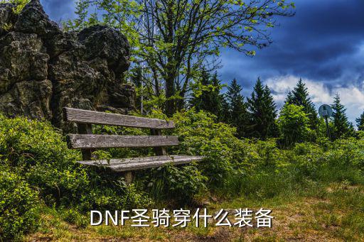 dnf圣骑士什么装备属性，DNF圣骑穿什么装备