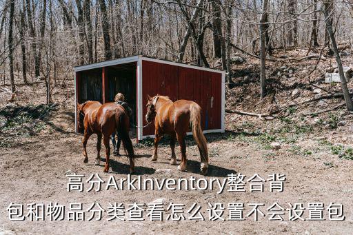 apex手游组合包怎么开，高分ArkInventory整合背包和物品分类查看怎么设置不会设置包