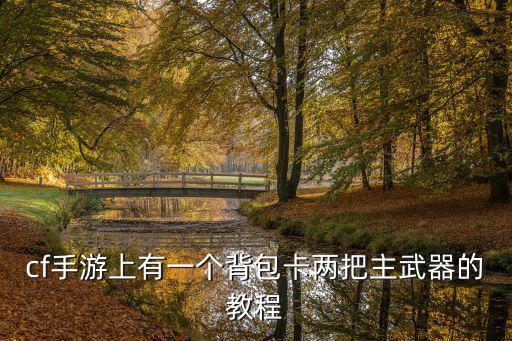 cf手游怎么使用多个武器，cf手游上有一个背包卡两把主武器的教程