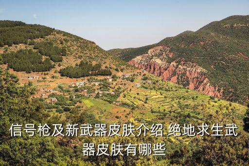 信号枪及新武器皮肤介绍 绝地求生武器皮肤有哪些