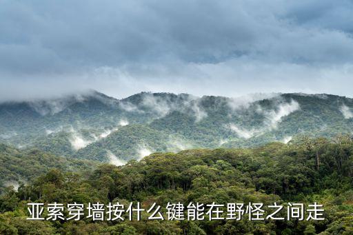 亚索穿墙按什么键能在野怪之间走