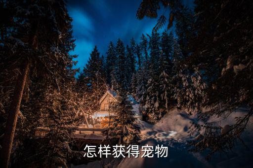 怎样获得宠物