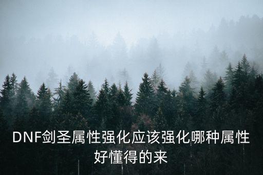DNF剑圣属性强化应该强化哪种属性好懂得的来