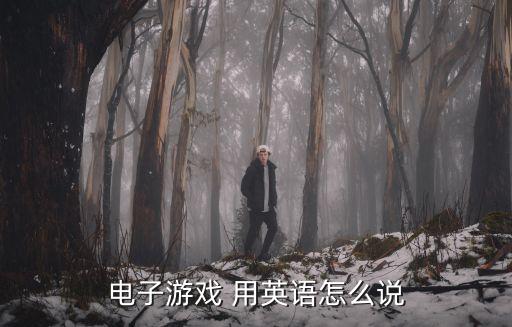 电子游戏 用英语怎么说