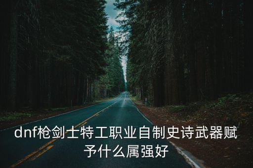 dnf枪剑士特工职业自制史诗武器赋予什么属强好
