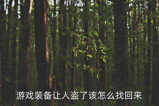 游戏装备被人抢走了怎么找回，游戏装备让人盗了该怎么找回来