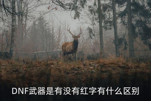 dnf武器打红字什么属性，DNF现在强打红字怎么选属性啊