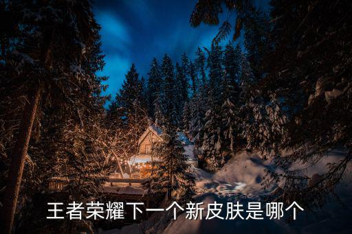 王者荣耀下一个新皮肤是哪个