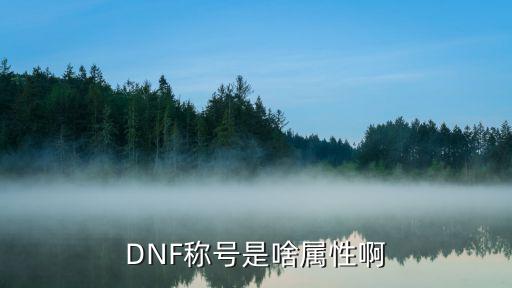 DNF称号是啥属性啊