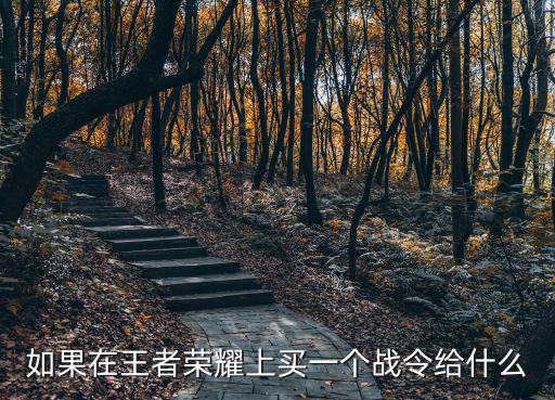 如果在王者荣耀上买一个战令给什么