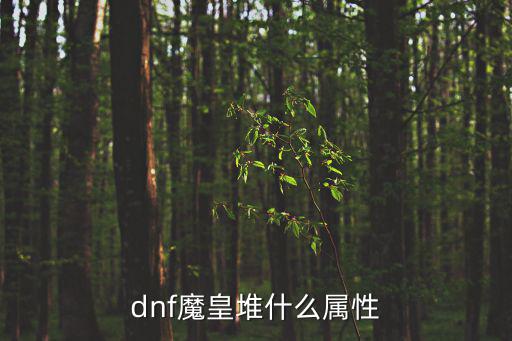 dnf魔皇要堆什么属性，DNF魔皇堆啥属性好