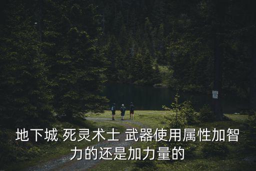 地下城 死灵术士 武器使用属性加智力的还是加力量的