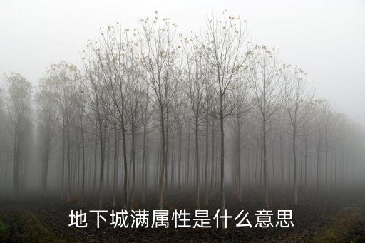 地下城满属性是什么意思