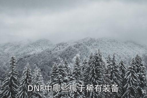 DNF中哪些属于稀有装备