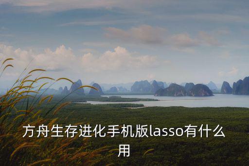 方舟生存进化手机版lasso有什么用