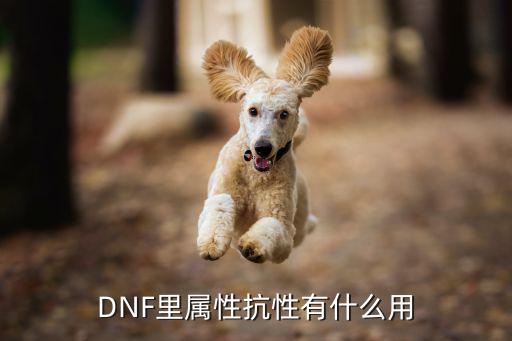 DNF里属性抗性有什么用
