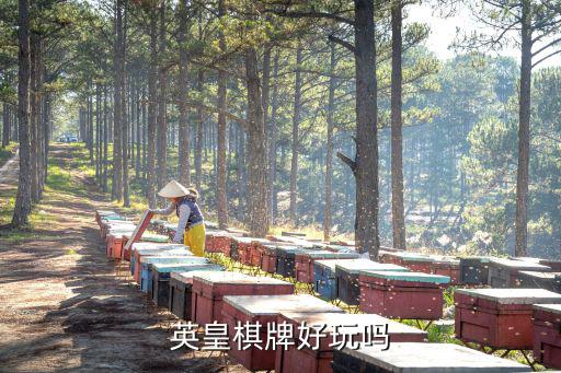 手游英皇棋牌怎么玩，英皇国际这个游戏的玩法谁知道啊