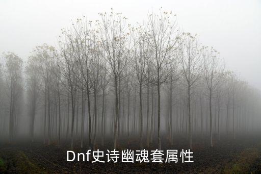 dnf大幽魂套什么属性，dnf幽魂套为什么厉害 dnf史诗幽魂套套装属性