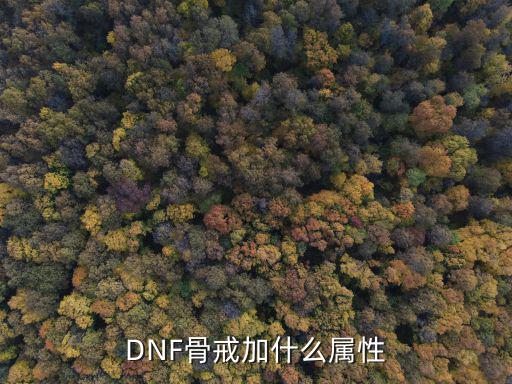 DNF骨戒加什么属性