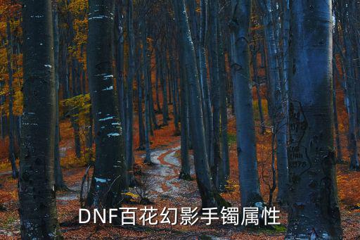DNF百花幻影手镯属性