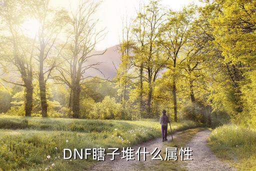 DNF瞎子堆什么属性