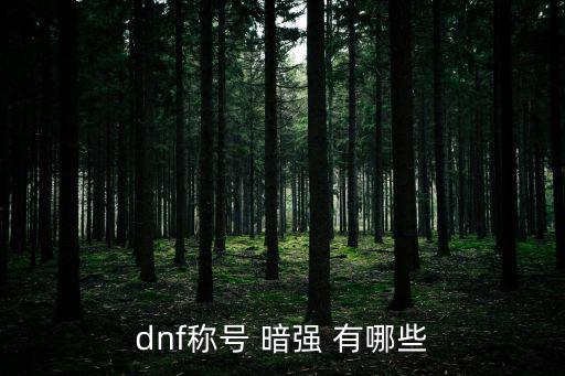 dnf称号 暗强 有哪些