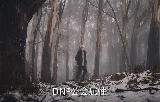 DNF公会属性