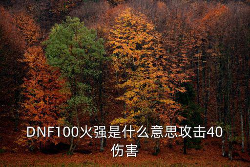 DNF100火强是什么意思攻击40伤害