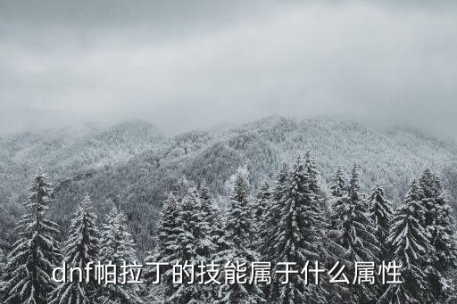 dnf帕拉丁做什么属性，dnf帕拉丁走什么属强