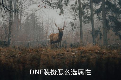 dnf装扮合成选什么属性，DNF合成装扮的属性