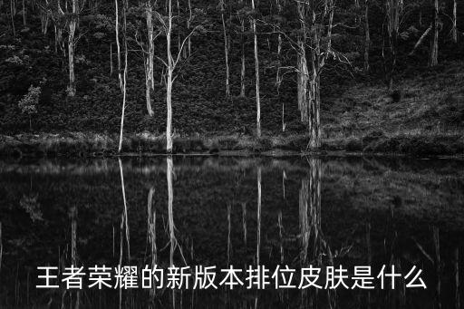 王者荣耀的新版本排位皮肤是什么