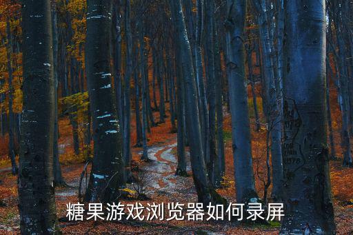 糖果游戏浏览器如何录屏