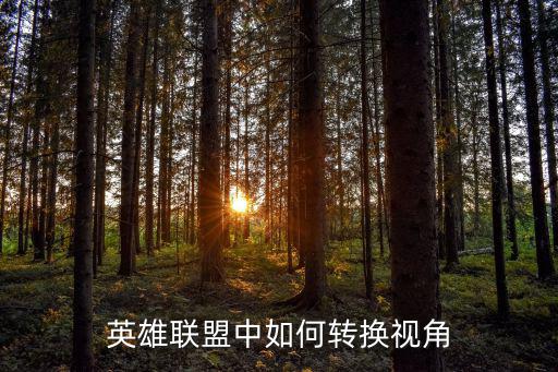 lol手游怎么操作切换视角，怎么换操作视角