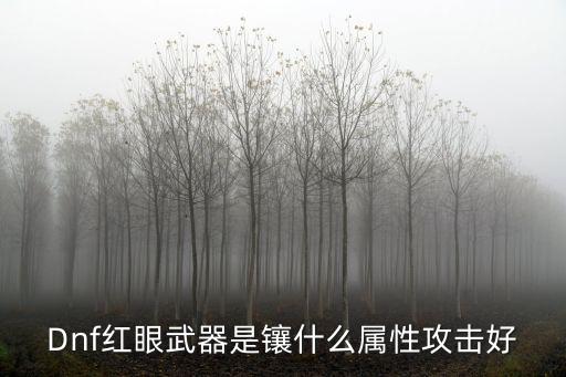 Dnf红眼武器是镶什么属性攻击好