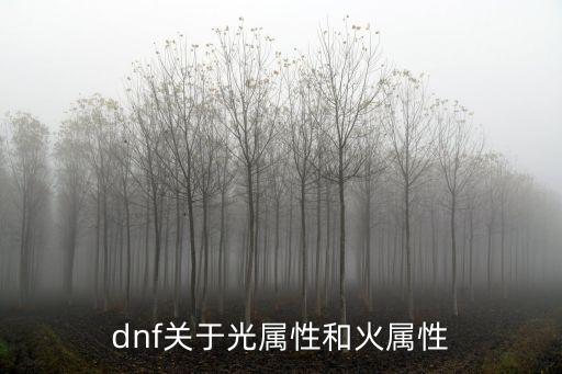 dnf关于光属性和火属性