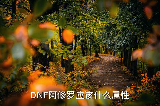 dnf阿修罗主攻什么属性，DNF阿修罗应该什么属性