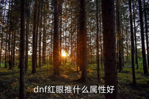 dnf红眼推什么属性好