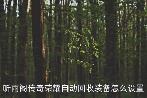 听雨阁传奇荣耀自动回收装备怎么设置