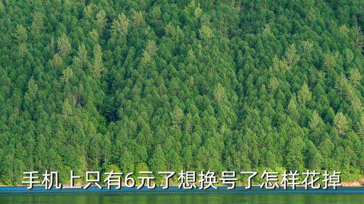 手机上只有6元了想换号了怎样花掉