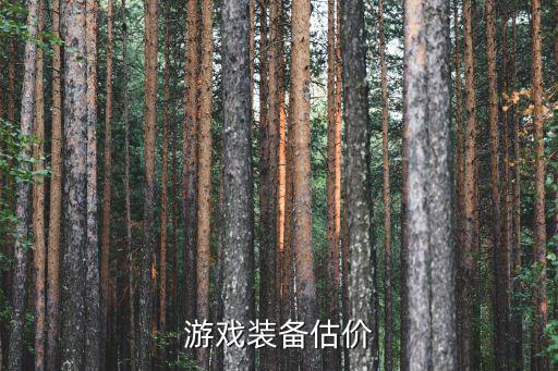 游戏装备被毁价值怎么认定，我的游戏装备被人骗了价值500元左右我知道是谁骗的请问一