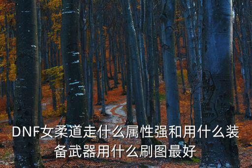 DNF小姐姐走什么属性，DNF女散打走什么属性好