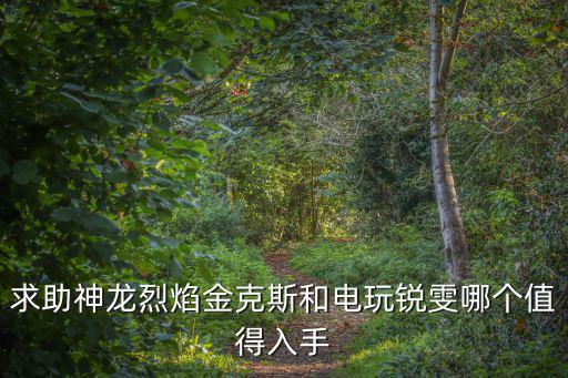 求助神龙烈焰金克斯和电玩锐雯哪个值得入手