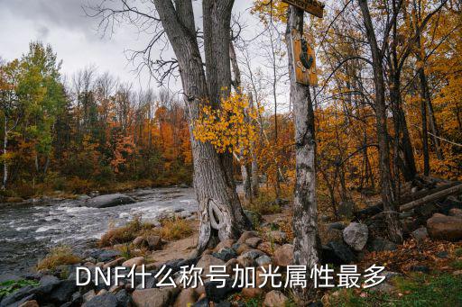 dnf什么称号加属性最多，dnf属强加最多的称号是哪个